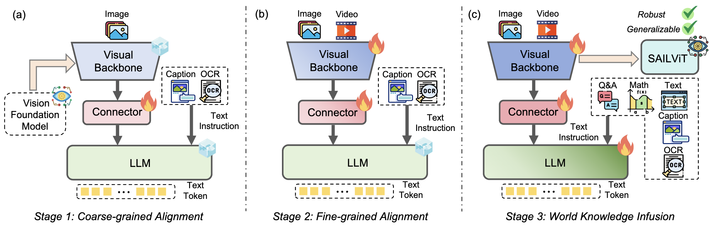 Training pipeline of SAILViT