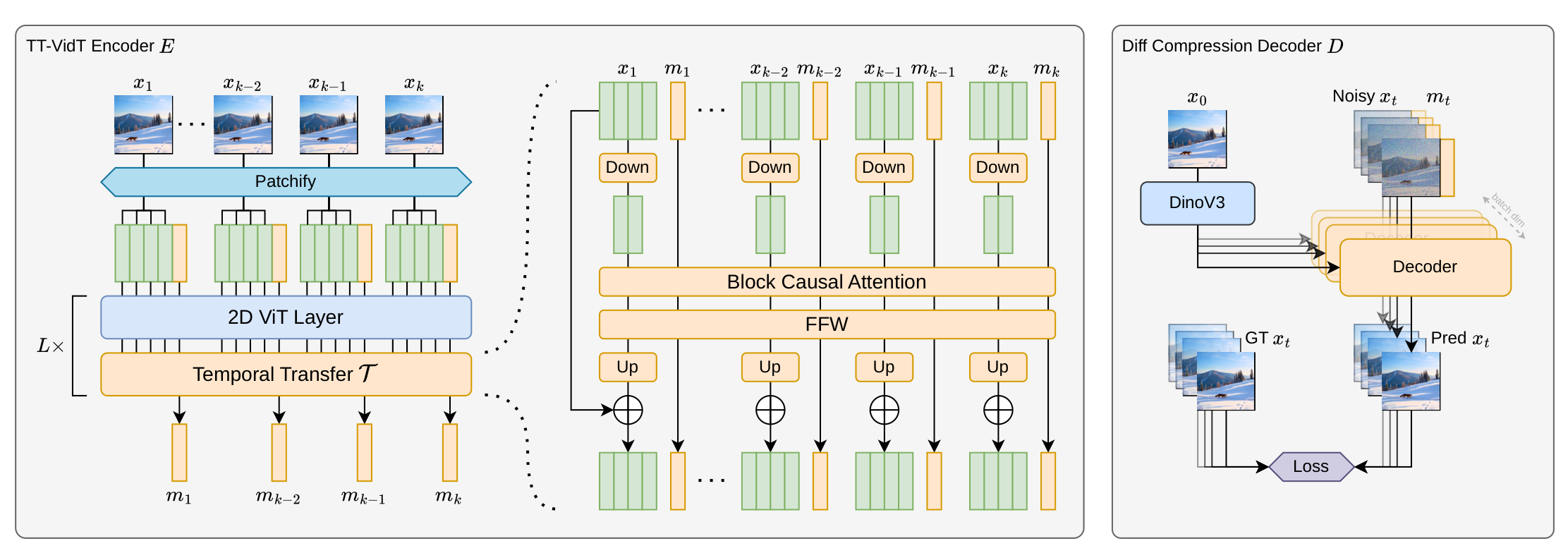 TT-VidT architecture