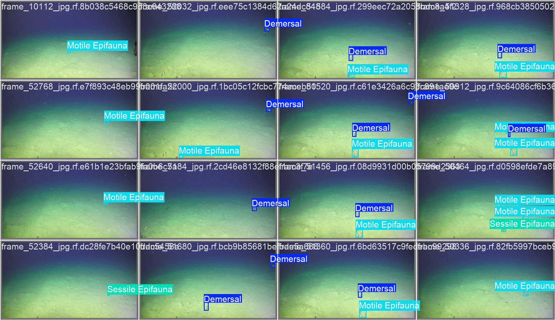 val_batch0_labels.jpg