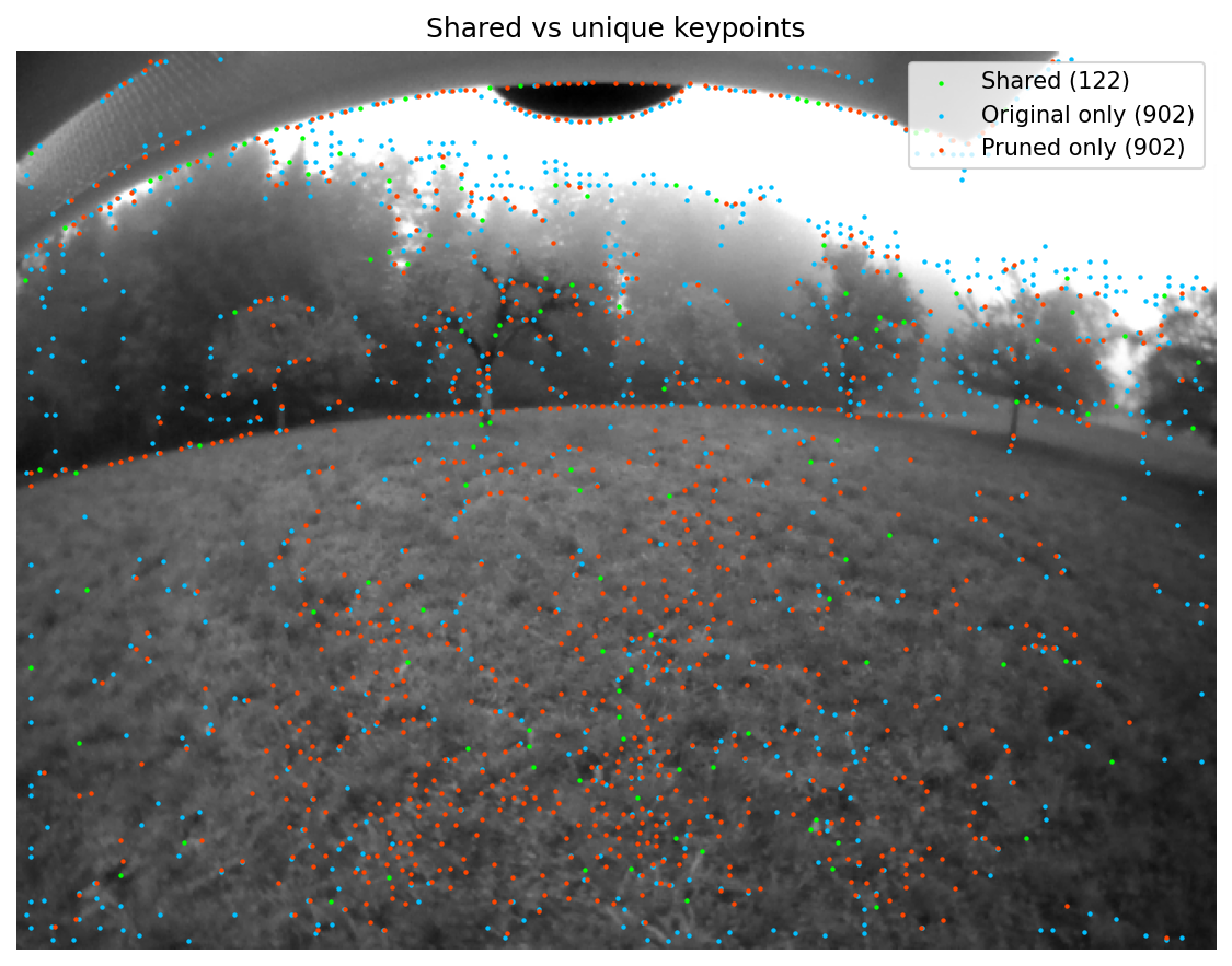 pruned_light_outdoor.png
