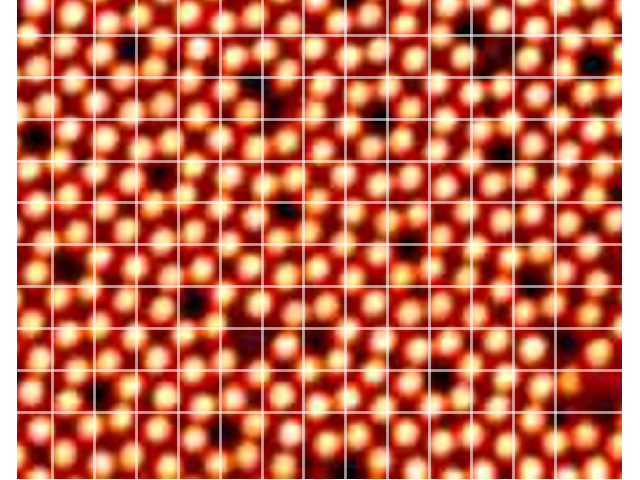 Silicon STM image with grid overlay
