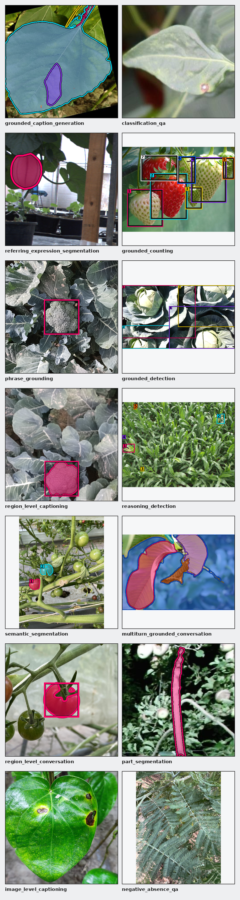 Task-specific AgriGround examples