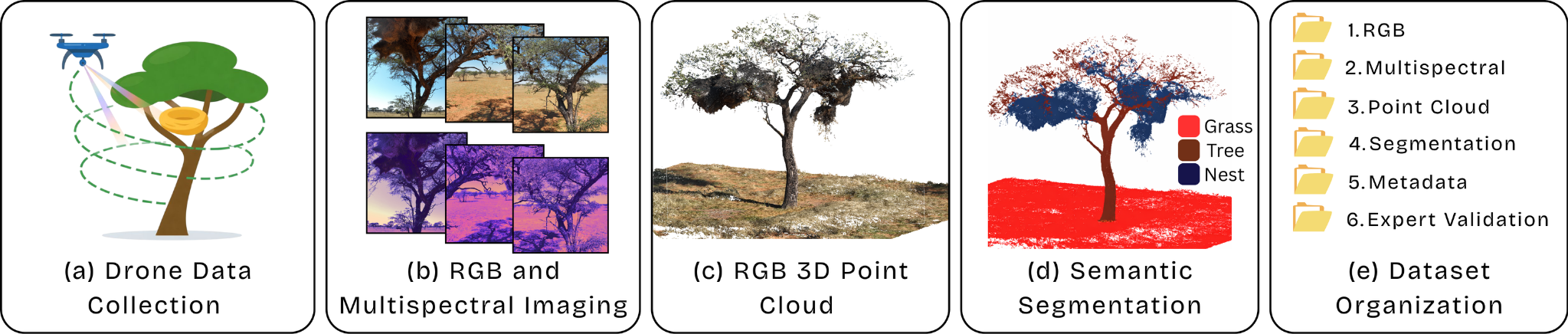 NEST3D Workflow
