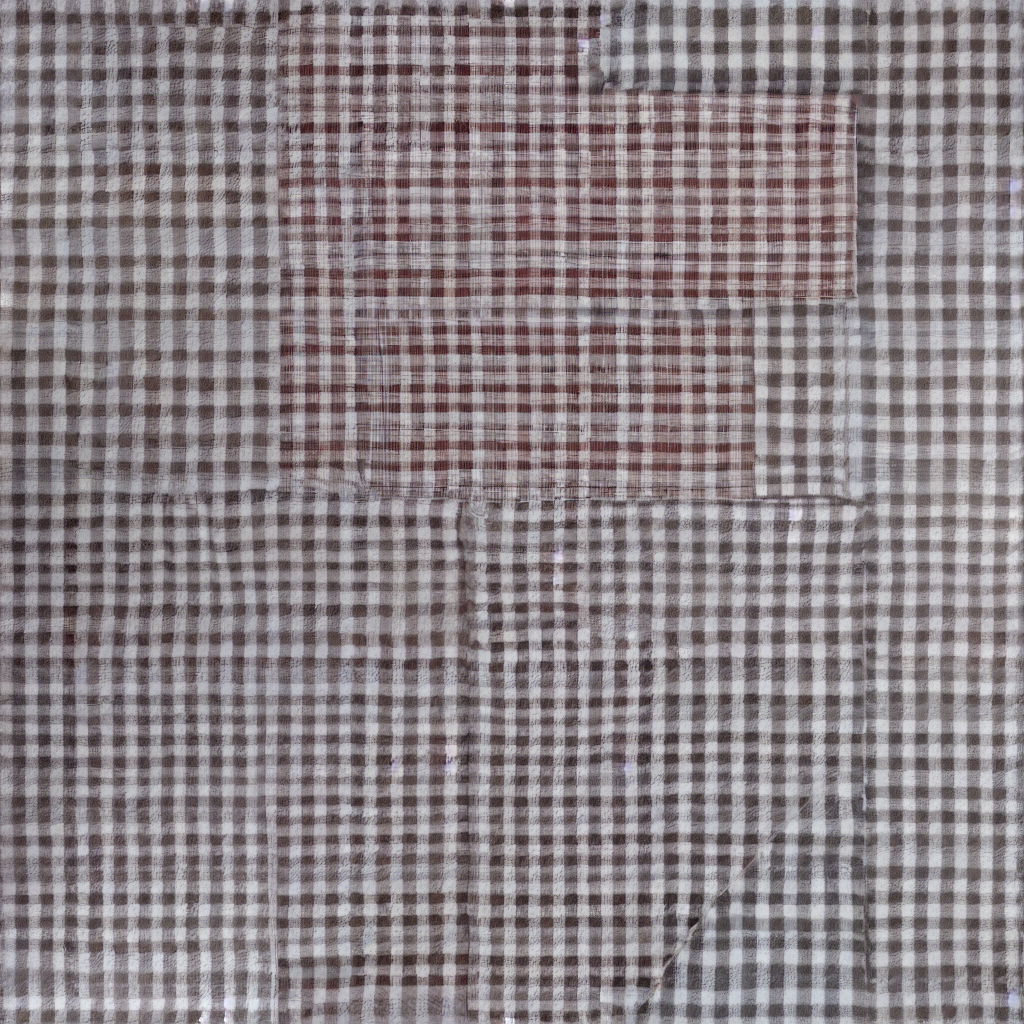 gingham_023.png