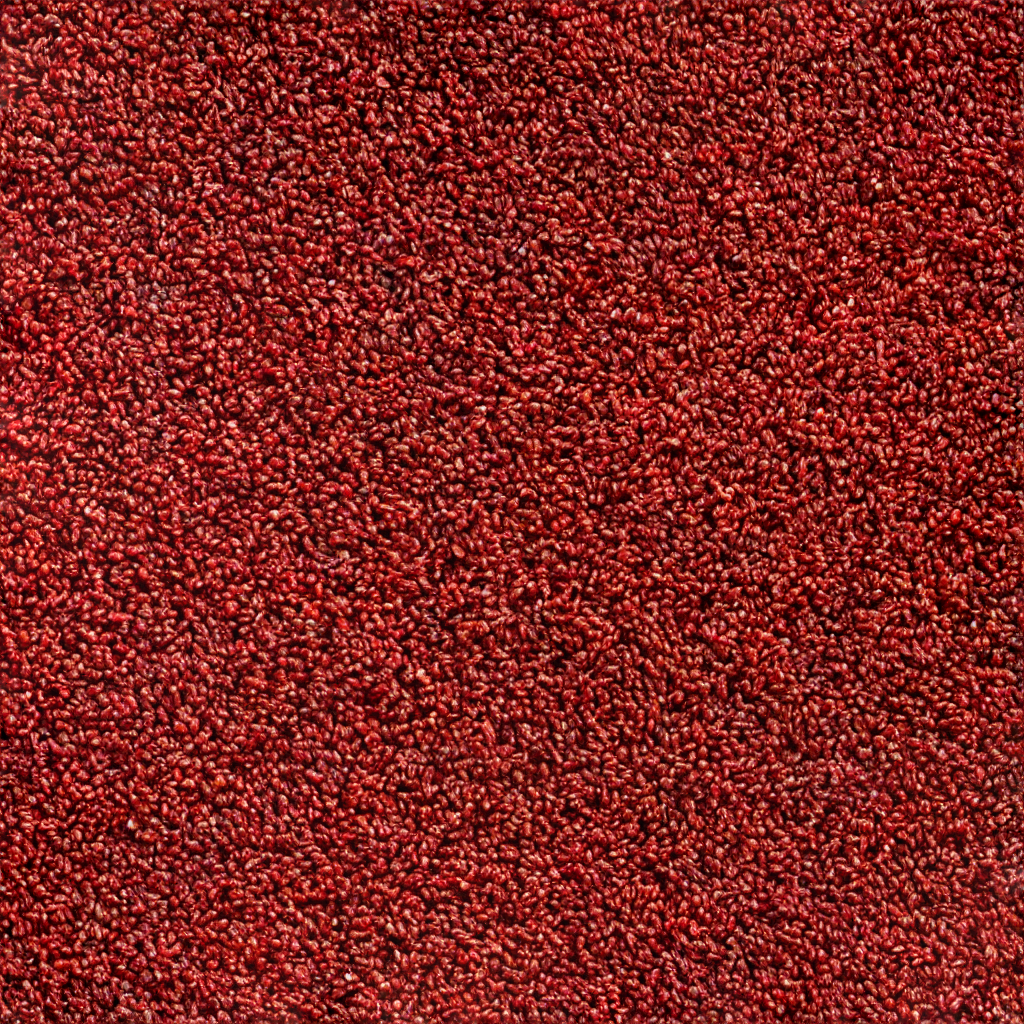 grass_004.png