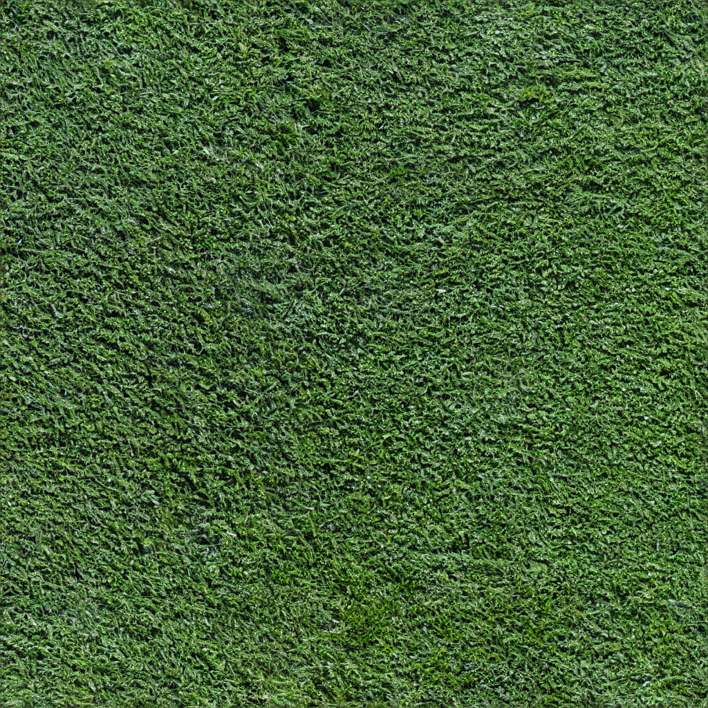 grass_029.png