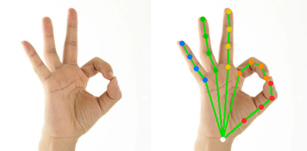 RTMPose-Hand β input | hand skeleton (on-device LiteRT GPU)