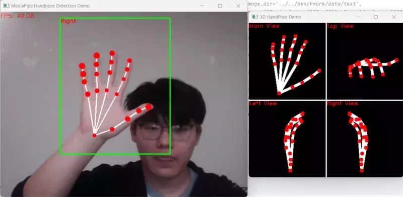 webcam demo