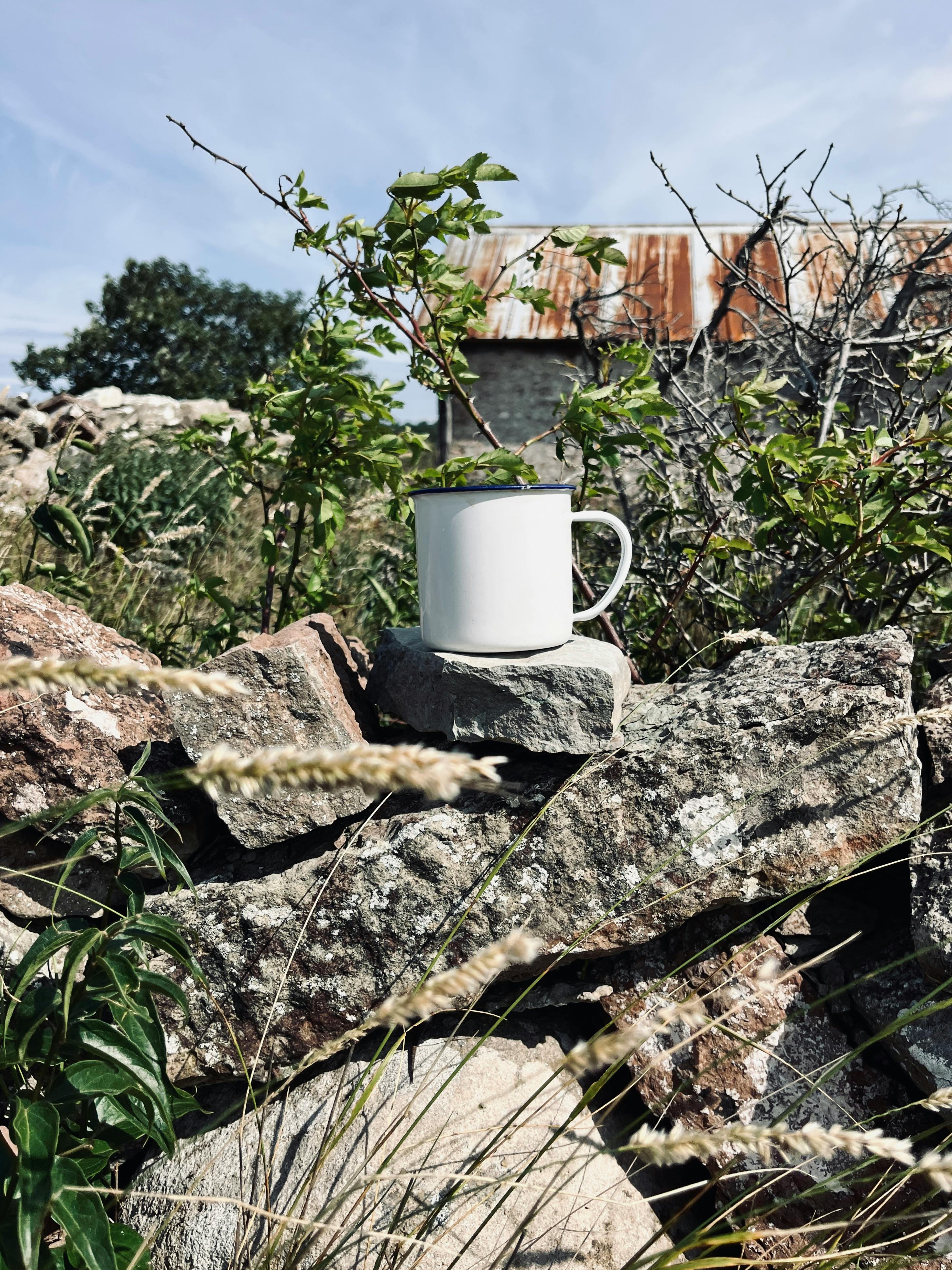mug.jpg