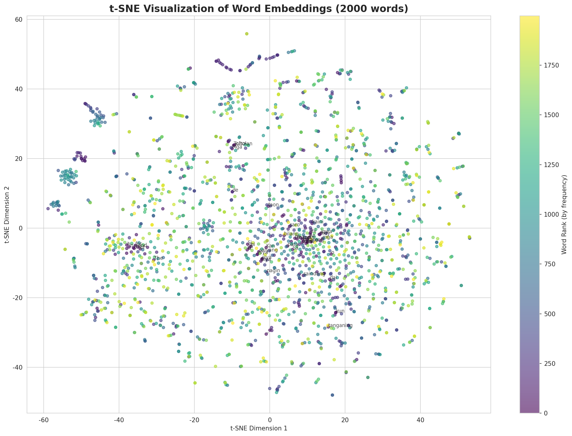 t-SNE Words