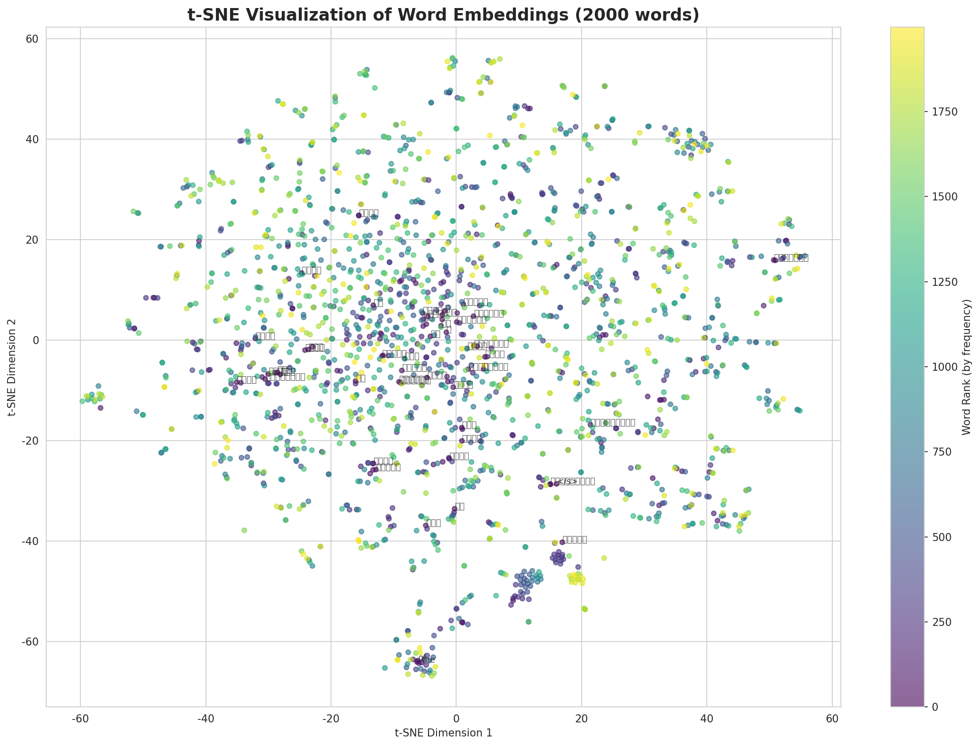 t-SNE Words