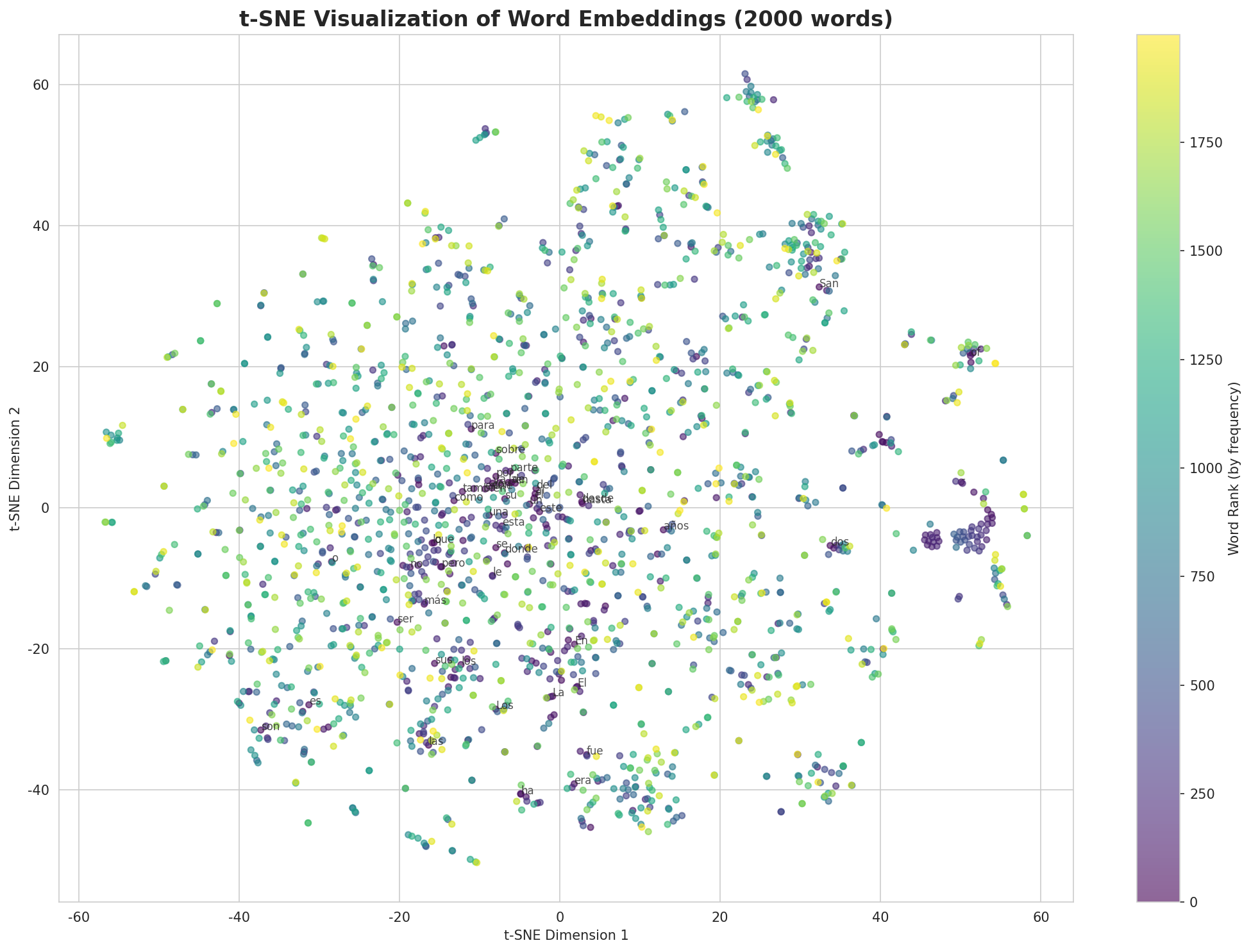 t-SNE Words