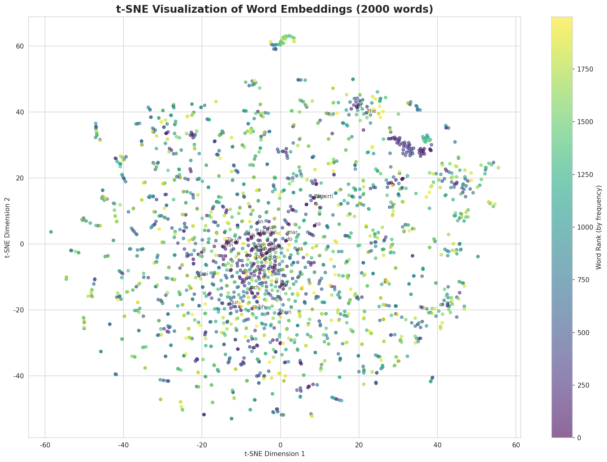 t-SNE Words