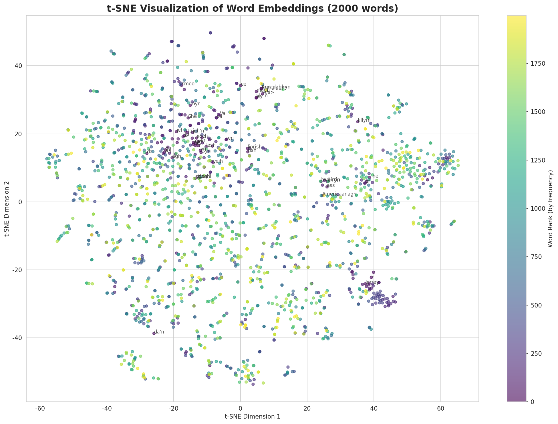 t-SNE Words