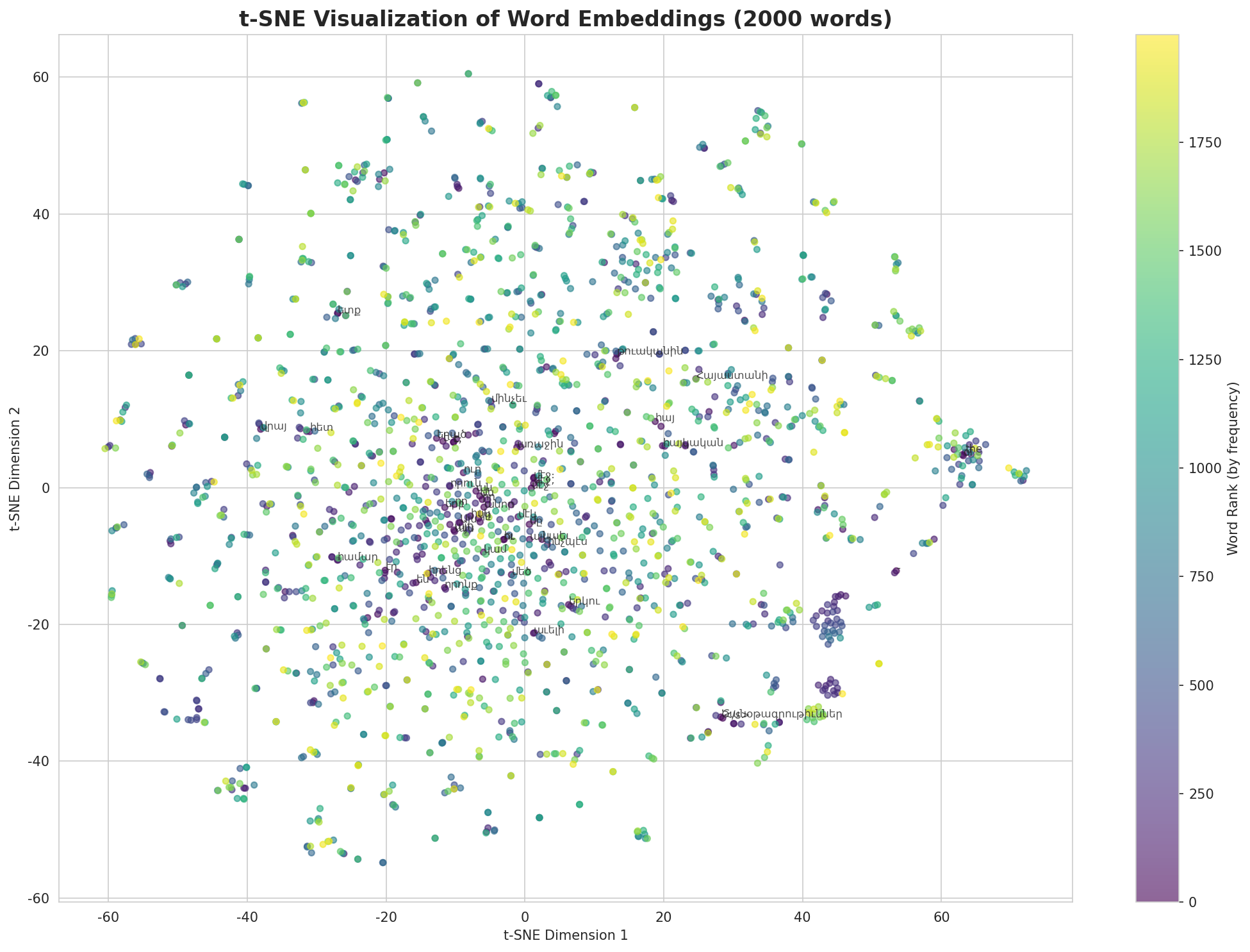 t-SNE Words