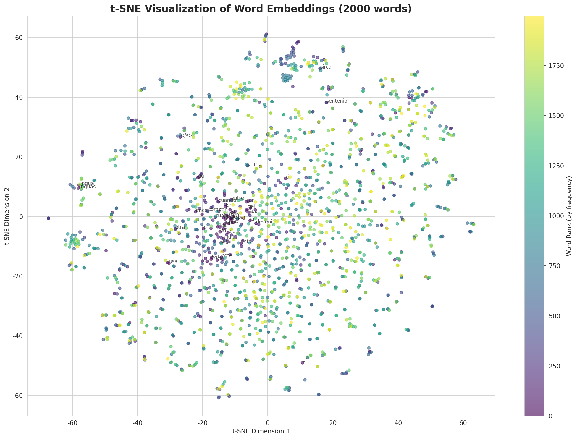 t-SNE Words