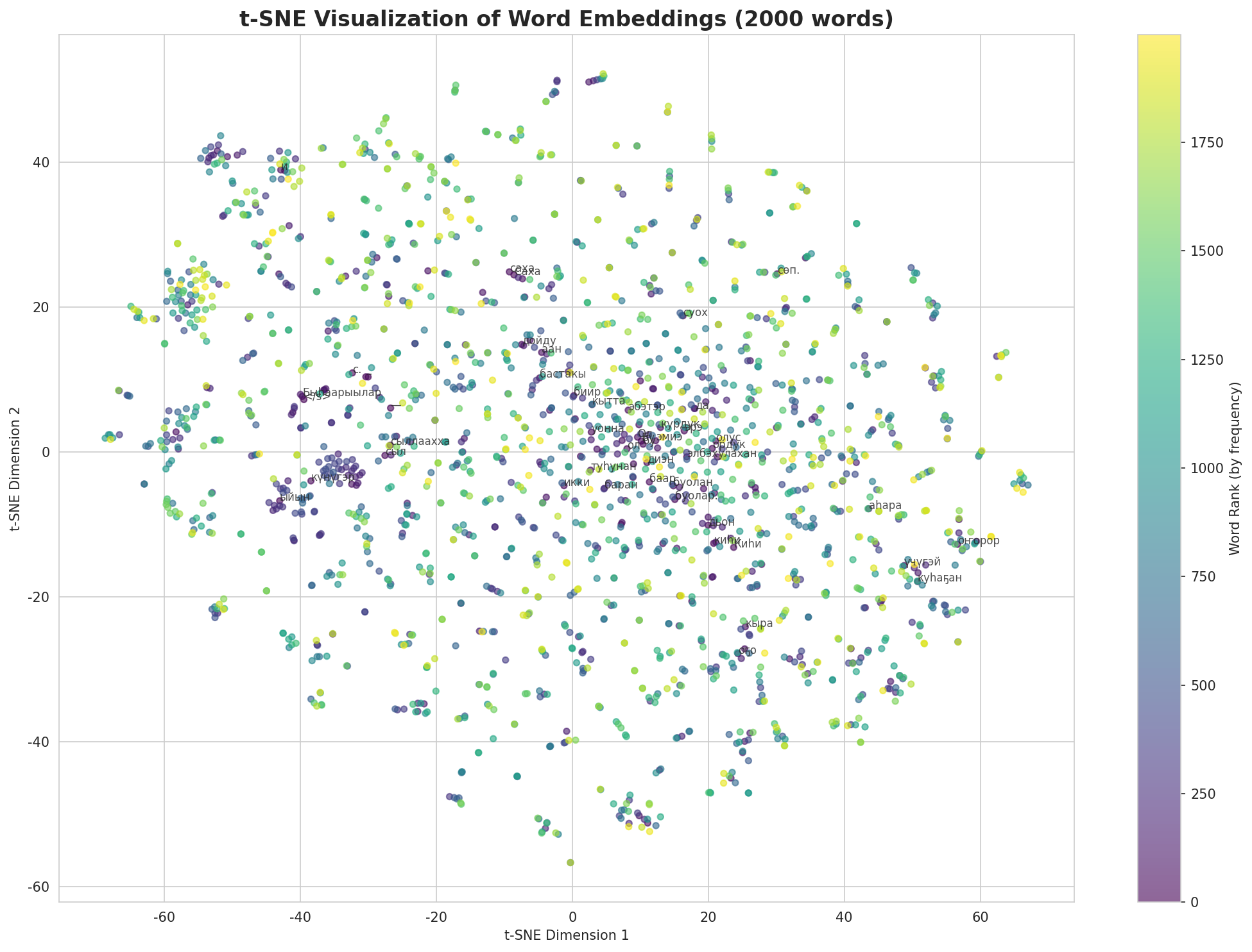 t-SNE Words