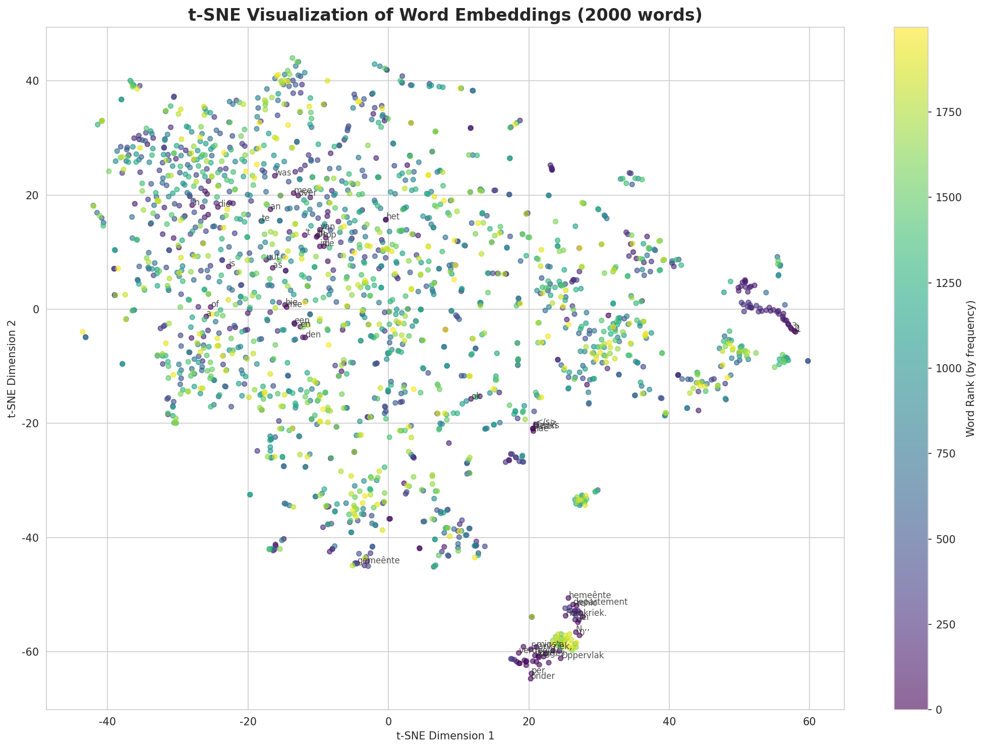 t-SNE Words
